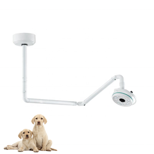Betrieb OT Chirurgische LED Betrieb Schatten loses Licht Einkopf Veterinär Wand montage Chirurgische Lampe - Product Image 1
