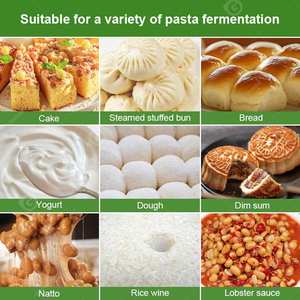 Retardador de Fermentación para Panadería de Doble Puerta con Vapor, 100/80 cm, Económico, para Pan Francés y Pequeños Productos de Panadería, con Termostatos - Product Image 6