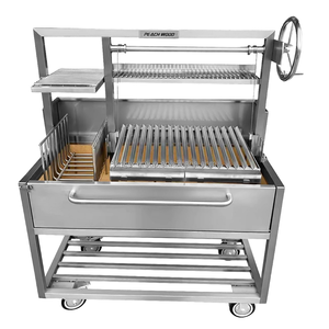 Parrilla de Gas Propano de Acero Inoxidable con Ruedas, Parrilla para Asar al Aire Libre sin Humo para Patio, Jardín y Terraza - Product Image 1