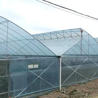 Grande structure de tunnel de serre en acier galvanisé à chaud multi-travées, longueur personnalisable pour l'agriculture hydroponique de tomates
