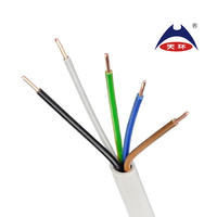 Kabel Listrik NYM 300/500V Multi Inti 2-5 Inti Tembaga Padat Berisolasi PVC dengan Selubung PVC untuk Peralatan Rumah Tangga dan Penggunaan Industri EN