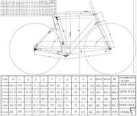 Vélo de route en carbone SAVA EDS 700C 24 vitesses vélo de course vélo de ville vélo en carbone Bicicleta ODM OEM