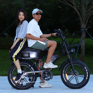 Bicicleta Eléctrica de Montaña VOMO, 20 Pulgadas, Neumáticos Anchos, Motor sin Escobillas de 250W, Doble Suspensión, Cuadro de Aluminio, Batería de Litio de 48V, X90Max - Product Image 1