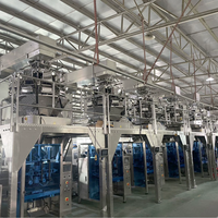 Machine d'emballage automatique multi-têtes pour snacks, chewing-gums, fruits secs et chips de plantain
