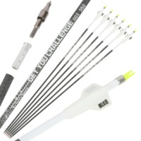Flèches en carbone pur BTRO 3K, 12 pièces/boîte, ID 6,2 mm, tige de 32 pouces, spine 250-400, ailettes blanches de 2,5 pouces, pointes de 100 grains, service de coupe gratuit