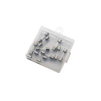 Fusible électronique automobile à soufflage lent en verre transparent 1,5A 250V 5*20mm