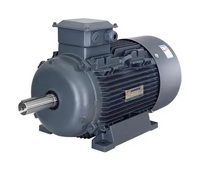 Moteur asynchrone triphasé INNOMOTICS série 1TL0, efficacité IE2, 460V 480V 60HZ, montage sur pied, TEFC