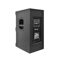 Altavoz Activo Profesional Accuracy Pro Audio WQ12D6 de 12 Pulgadas y 500W con Amplificador Clase-D en Gabinete de Madera para DJ y PA