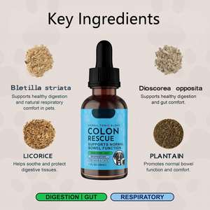 Suplemento Nutricional para la Salud Intestinal de Mascotas, Perros y Gatos, Apoyo Dirigido para <span class=keywords><strong>el</strong></span> Tracto Gastrointestinal Inferior - Product Image 2