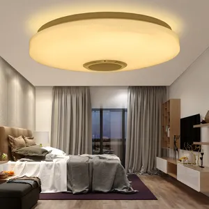 hot sell 110V 220V 30CM RGB APP phone remote control modern led smart dimming music speaker ceiling light