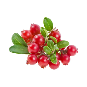 Extrait Miracle Pur Polysaccharide 50% <span class=keywords><strong>Miraculine</strong></span> Baies Miracle Fruit en <span class=keywords><strong>Poudre</strong></span> - Product Image 3