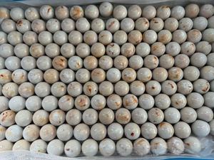 Tùy Chỉnh Sang Trọng Độc Đáo Nhựa Nước Hoa Over Cap Nước Hoa Nắp Vòng Bóng Nước Hoa Fea15 Cap Cho Chai - Product Image 6