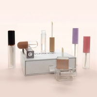 Flacons de brillant à lèvres miniatures personnalisables avec logo, 2ml, 4ml, 6ml, 10ml, avec grand pinceau, tubes et emballages pour gloss à lèvres