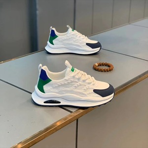 Chaussures pour hommes Factory 2026 Nouvelle collection été, blanches respirantes en maille, à semelle épaisse, style Dad Shoes, rehaussantes et confortables - Product Image 3