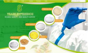 Beste Prijs Natuurlijke Sophora Japonica Extract Rutin 98% Rutin Extract Poeder - Product Image 5