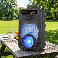 Enceinte Karaoké 8 Pouces avec Micro Sans Fil Bluetooth, Lumières Colorées, Son Puissant et Clair
