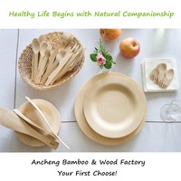 Prix d'usine vaisselle en fibre de bambou biodégradable jetable assiettes/plats/plateau en bambou pour la nourriture
