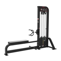 Máquina de remo baja de acero con carga de pin ajustable para entrenamiento de fuerza en gimnasio