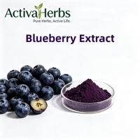 Ekstrak Bubuk Blueberry Alami Larut Air 25% Antosianidin 36% Antosianin