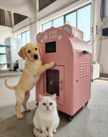 Mini séchoir intelligent pour animaux de compagnie, boîte de lavage et séchage des oreilles à hydrogène gris, cage en acier inoxydable pour salons de toilettage, maisons et animaleries