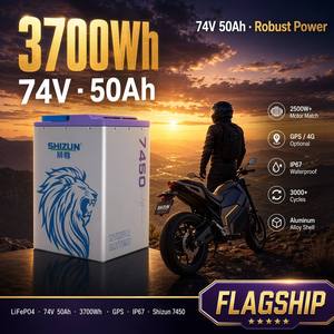 Batterie LiFePO4 74V 50Ah pour vélo électrique 72V, pack de batteries lithium-ion, étanche IP67, plus de 3000 cycles pour moto électrique 2500W - Product Image 1