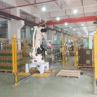 Boyang industria robot brazo pinza cartón paletizado brazos robóticos para elevación