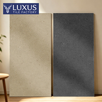 Carreaux de céramique mats effet pierre de lune à grain sec 10 mm 600x1200 mm antidérapants pour sols et murs de salons et salles à manger