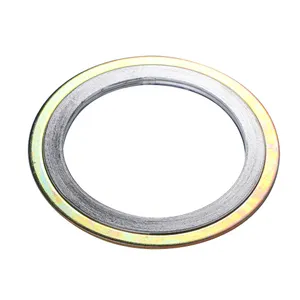 בסגנון CG CGL R RIR אטם פצע ספירלה טבעת פנימית וטבעת חיצונית חומר מותאם אישית