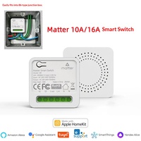 Modul Sakelar Pintar SLS Matter 16A 1 Gang dengan Kontrol Suara HomeKit Alexa Google, Kontrol Aplikasi, dan Wi-Fi untuk Otomatisasi Rumah