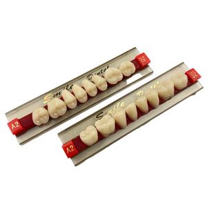 Acrylic Resin Teeth <b>Denture</b> Posterior Teeth Dental 2-layer Synthetic Resin Teeth - Product Image 1