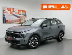 <span class=keywords><strong>Auto</strong></span> usata Lion Platinum Expansion 2025 1.5T 2WD Edizione Premium in offerta speciale - Product Image 1