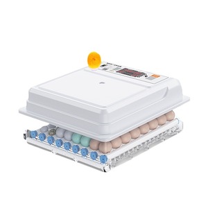 Bán Buôn 12 24 36 64 128 192 256 Trứng Lồng Ấp Hoàn toàn Giá Rẻ Giá Gà Vịt Chim Cút Sử Dụng Giá Cả Phải chăng Mini Lồng Ấp - Product Image 1