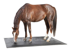 Nuovo Materasso Morbido <span class=keywords><strong>per</strong></span> <span class=keywords><strong>Box</strong></span> <span class=keywords><strong>Cavalli</strong></span> e Stalle in Gomma e Schiuma - Product Image 6