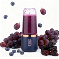 400ml Portable Blender Cup Bottle USB Rechargeable 6 Lames Fruit Mixer Mini Hand Juicer Blender Smoothie