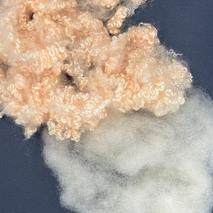 Hcs 3D 64mm 32mm rỗng liên hợp siliconised cam Polyester PSF sợi cho nhồi gối - Product Image 4