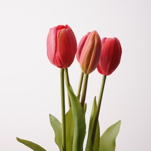 High Quality Artificial Latex Tulip Flower Bouquet Pe Tulip Flower 5 Heads Real Touch Tulip - Product Image 6