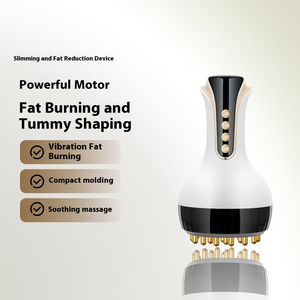 Popular Elétrica Meridian Escova Vibração Aquecimento Instrumento Massagem Abdominal para Emagrecimento Shaping Body Use Dragagem - Product Image 1