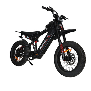 En Stock en EE. UU., Envío Gratis, Motocicleta de Alta Velocidad de 60 KM/H, 60V 2000W, Moto Deportiva de 20 Pulgadas y 7 Velocidades para Adultos - Product Image 1