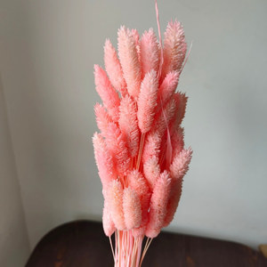 Hierba de Gema Real para Arreglos Florales y Creación de Ramos/Bouquets, <span class=keywords><strong>Phalaris</strong></span> Seca para Decoración del Hogar y Graduaciones - Product Image 3