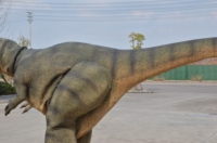 Modèles de dinosaures pour usine d'attractions, vente chaude, costumes de dinosaures animatroniques personnalisés