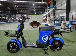 Scooter électrique de cargaison de l'usine directe 500W avec l'alliage d'aluminium de l'affichage intelligent 48v puissant et polyvalent - Product Image 6
