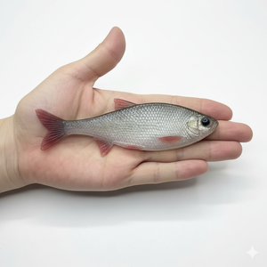 Stampo per esche in plastica morbida di alta qualità per esche realistiche da pesca al black <span class=keywords><strong>bass</strong></span>, stampo a iniezione personalizzato - Product Image 3