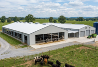 Structure en acier robuste pour l'aménagement d'ateliers modernes et de bâtiments agricoles préfabriqués en acier pour l'élevage de vaches laitières