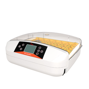 Incubateur <span class=keywords><strong>à</strong></span> œufs <span class=keywords><strong>de</strong></span> volaille HHD <span class=keywords><strong>à</strong></span> haut taux d'éclosion, 42 œufs, en vente au Pakistan, YZ-42A - Product Image 1