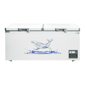 Congelador Horizontal de Gran Capacidad en Oferta, Congelador Comercial, Congelador Profundo para Supermercados - Product Image 1
