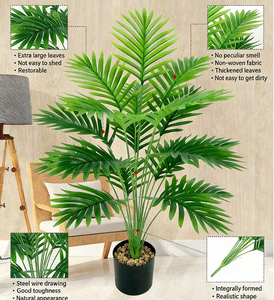 ต้นไม้สีเขียวสไตล์นอร์ดิก, ต้นสปาฟิลลัม, ใช้ตกแต่งเฟอร์นิเจอร์ห้องนั่งเล่นและต้นไม้กระถางใบเหล็ก - Product Image 5