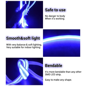 Phổ biến nhất Epistar LED Strip ánh sáng ngoài trời không thấm nước tùy biến COB dải ánh sáng ngoài trời chiếu sáng cảnh quan nhà máy - Product Image 4