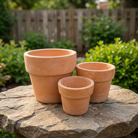 Pot de fleurs en terre cuite émaillée, design classique, en forme de mini-animaux, idéal pour les plantes succulentes dans le salon – Vente chaude