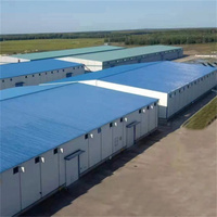 Atelier et entrepôt préfabriqués en structure métallique industrielle avec capacité de grue jusqu'à 200 tonnes, garantie de 5 ans