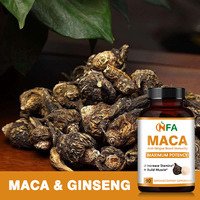 Capsules de Maca de haute qualité anti-fatigue, idéales pour stimuler l'énergie quotidienne et le système immunitaire des hommes, complément alimentaire à base de plantes.